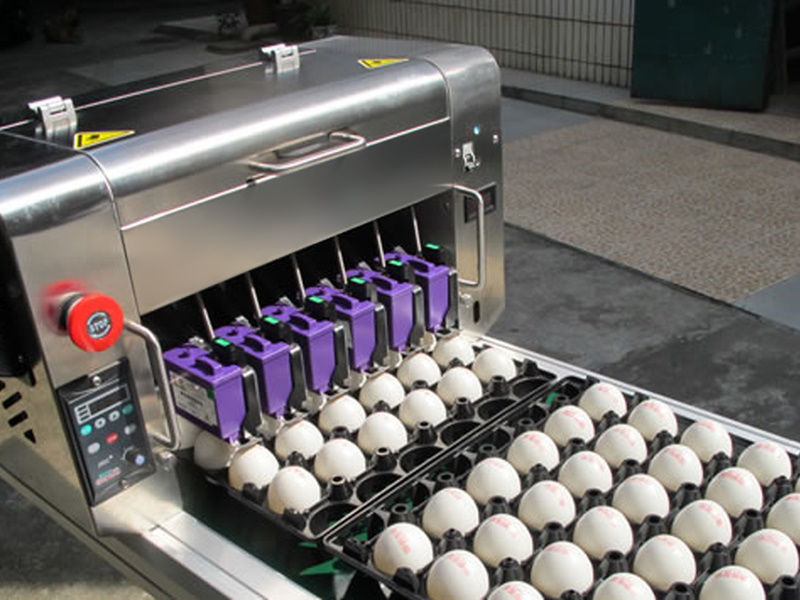 Egg Printing System